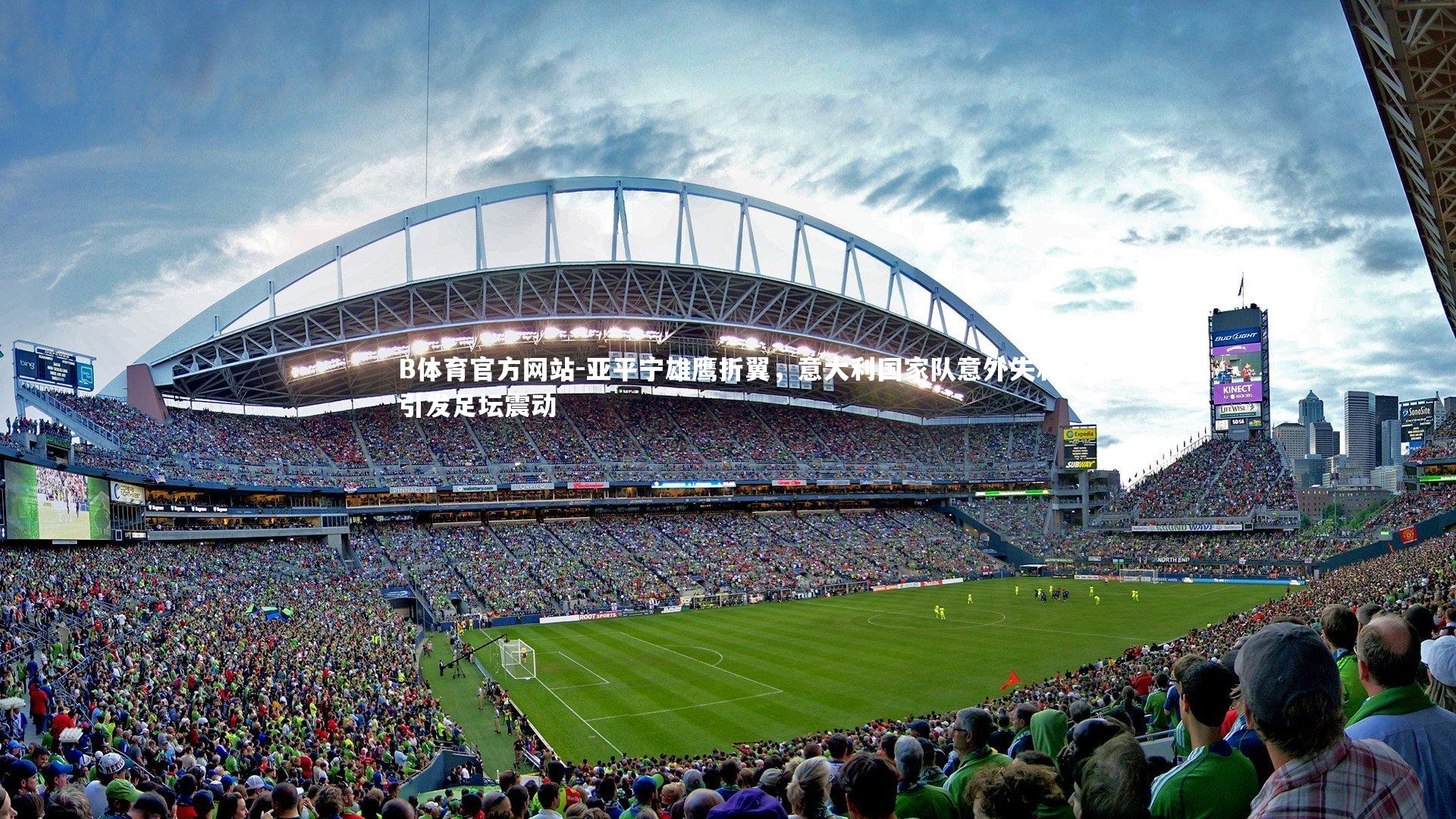 B体育官方网站-亚平宁雄鹰折翼，意大利国家队意外失利引发足坛震动